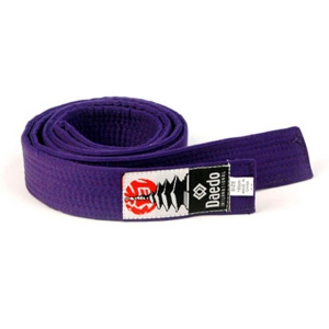 CEINTURE VIOLETTE PIQUEE