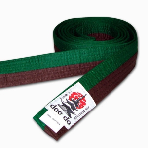 CEINTURE BICOULEUR VERTE/MARRON PIQUEE