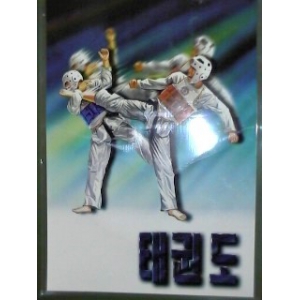 POSTER TAEKWONDO "NELYO"