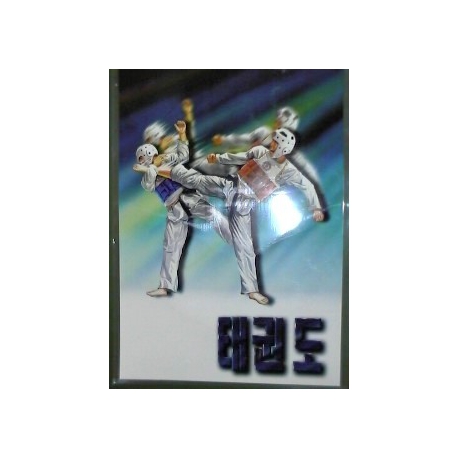 POSTER TAEKWONDO "NELYO"