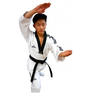 Dobok "Master" avec bandes TAEKWONDO