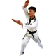 Dobok "Master" avec bandes TAEKWONDO