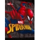 Sac de Sport Spiderman